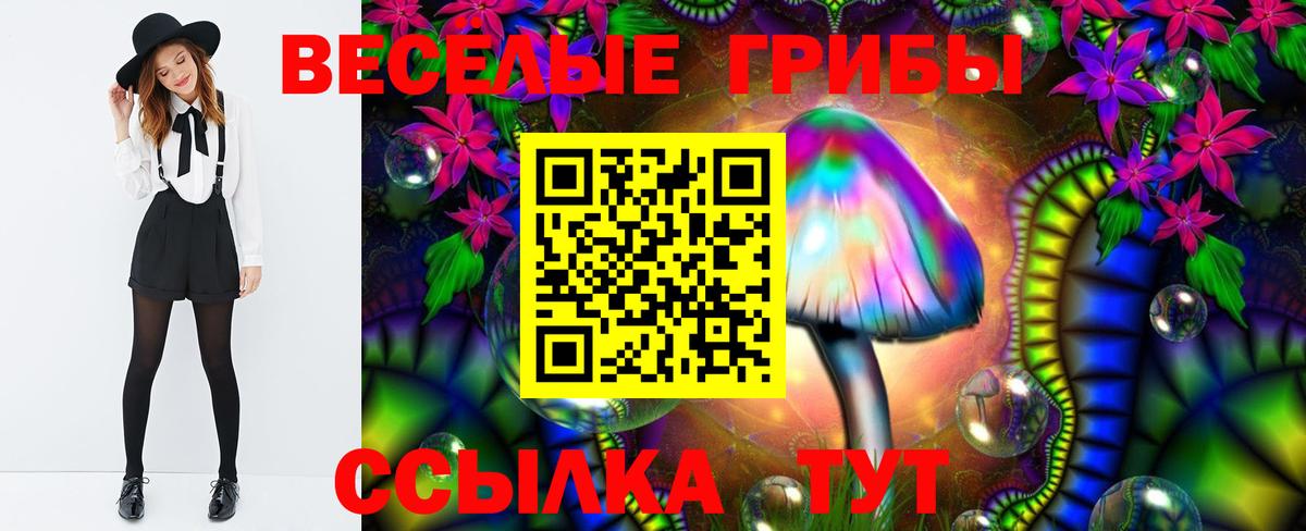 Кинешма  Галлюциногенные грибы MAGIC MUSHROOMS  где купить наркотик  Вход с VPN 
