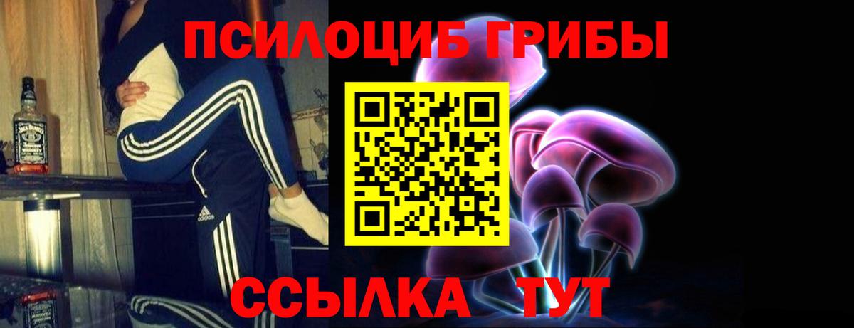Галлюциногенные грибы Cubensis Кинешма